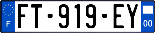 FT-919-EY