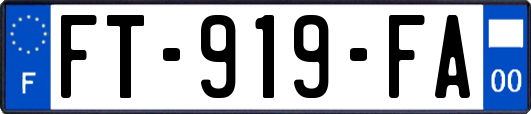 FT-919-FA