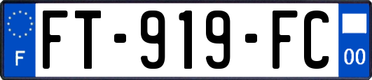 FT-919-FC