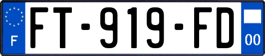 FT-919-FD