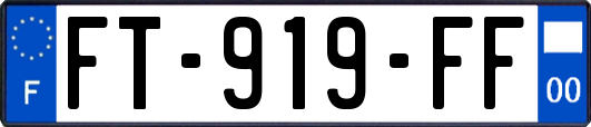 FT-919-FF