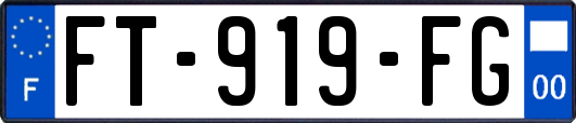 FT-919-FG