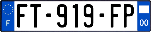 FT-919-FP