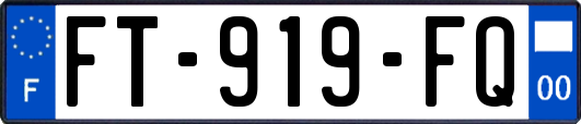 FT-919-FQ