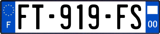 FT-919-FS