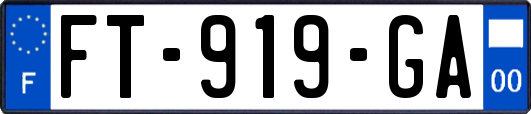 FT-919-GA