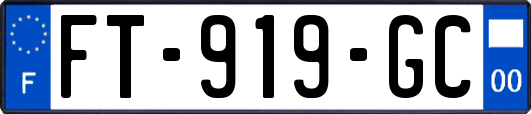 FT-919-GC