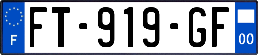 FT-919-GF