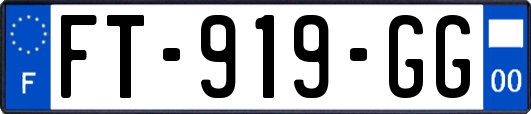 FT-919-GG