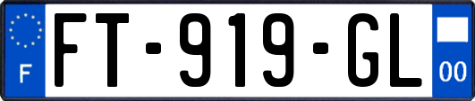 FT-919-GL