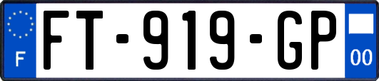 FT-919-GP