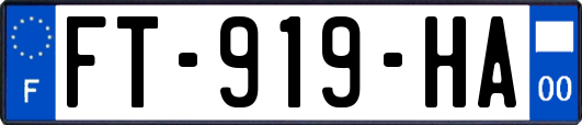 FT-919-HA
