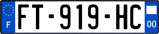 FT-919-HC