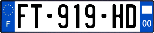 FT-919-HD