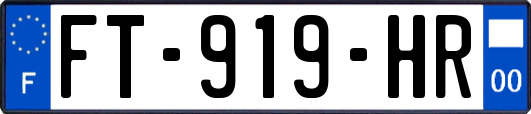FT-919-HR