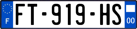 FT-919-HS