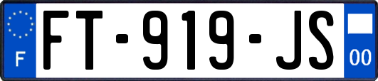 FT-919-JS