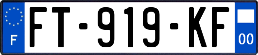 FT-919-KF