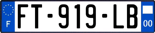 FT-919-LB