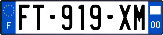 FT-919-XM