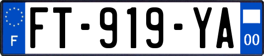 FT-919-YA