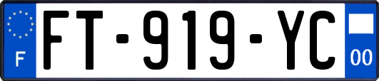 FT-919-YC