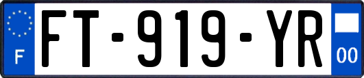 FT-919-YR