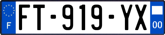 FT-919-YX