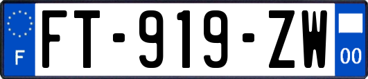 FT-919-ZW