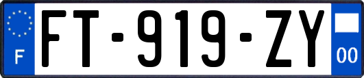 FT-919-ZY