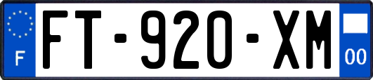 FT-920-XM