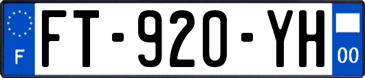 FT-920-YH