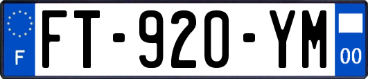 FT-920-YM