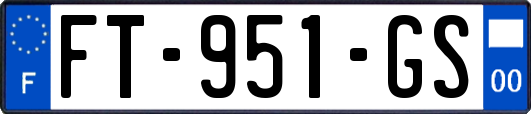 FT-951-GS