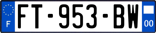 FT-953-BW