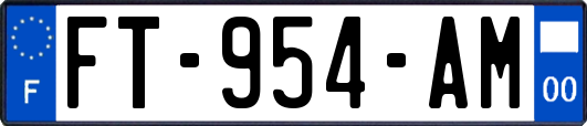 FT-954-AM