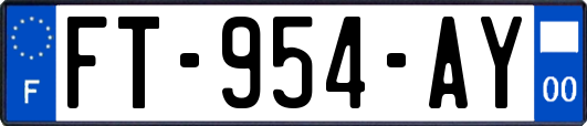 FT-954-AY