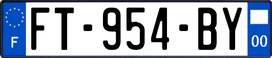 FT-954-BY