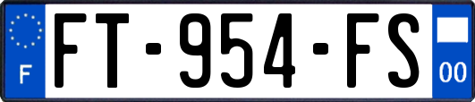 FT-954-FS