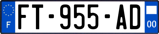 FT-955-AD