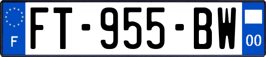 FT-955-BW