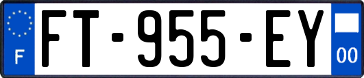 FT-955-EY
