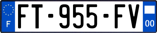 FT-955-FV