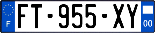 FT-955-XY