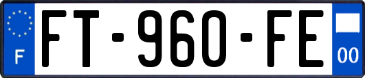 FT-960-FE
