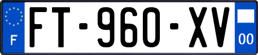 FT-960-XV