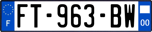 FT-963-BW