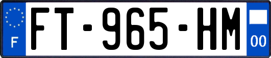 FT-965-HM