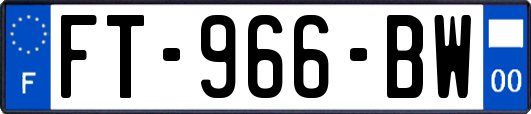 FT-966-BW