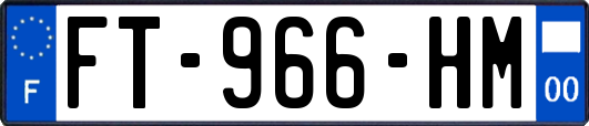 FT-966-HM